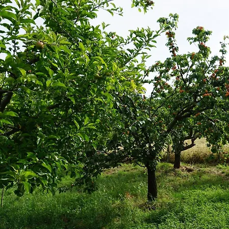 Nyaraló La Casa Dei Tarocchi