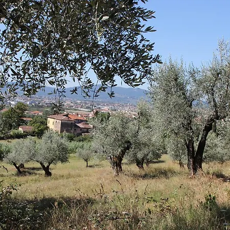 La Casa Dei Tarocchi Pistoia