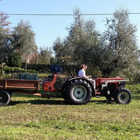 Nyaraló La Casa Dei Tarocchi *